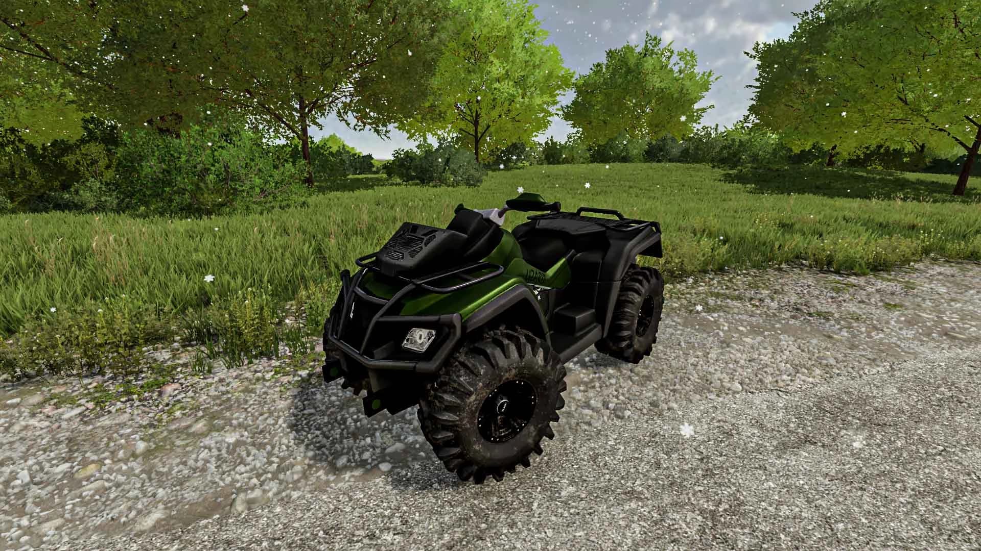 ATV 650X-MR 5
