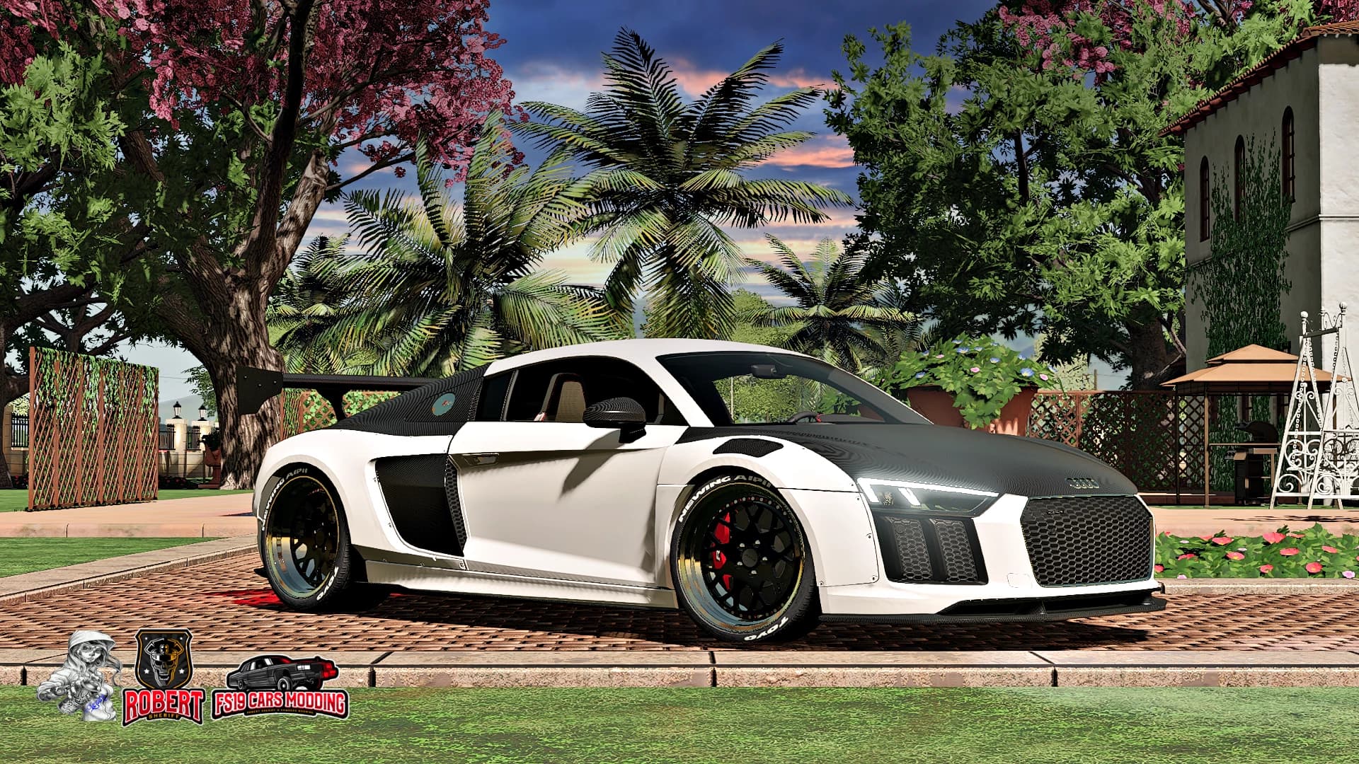 AUDI R8 ALPIL RSR 3