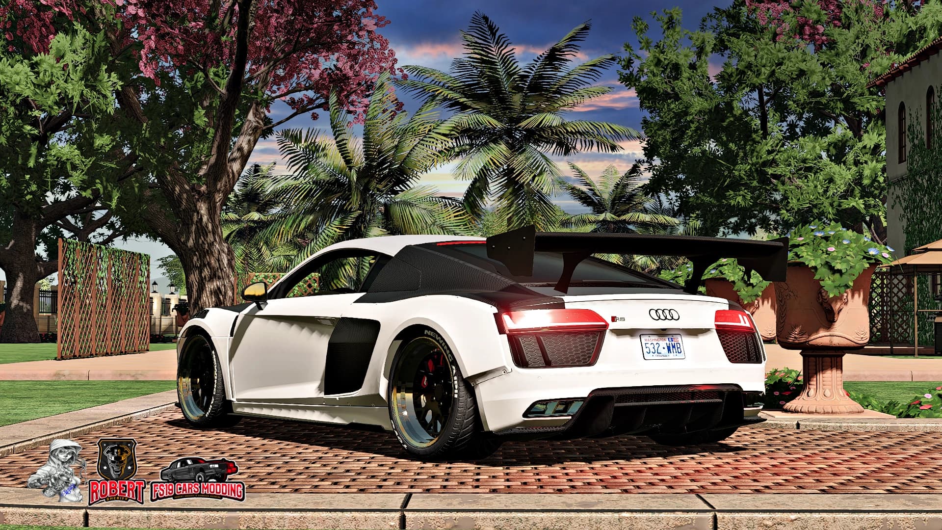 AUDI R8 ALPIL RSR