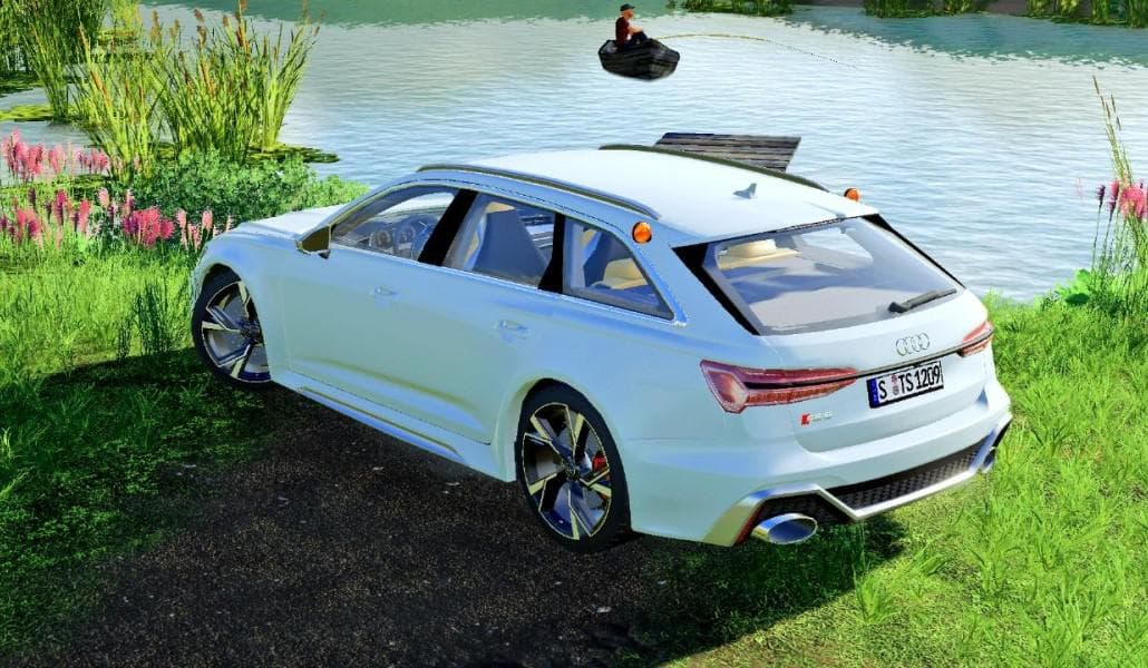 AUDI RS6 AVANT 2020 3