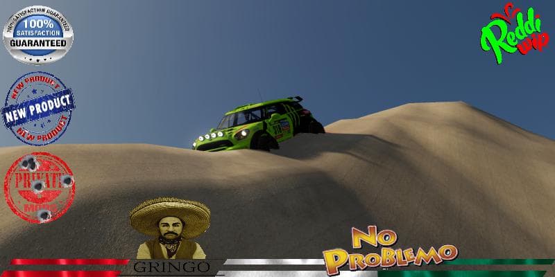 AUSTIN MINI 318 DAKAR 2020 5