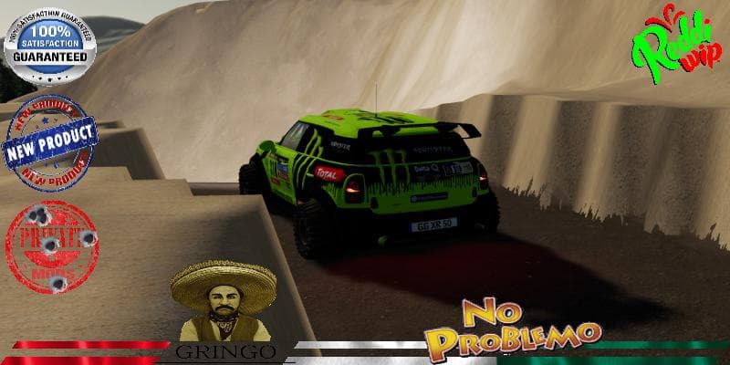 AUSTIN MINI 318 DAKAR 2020 4