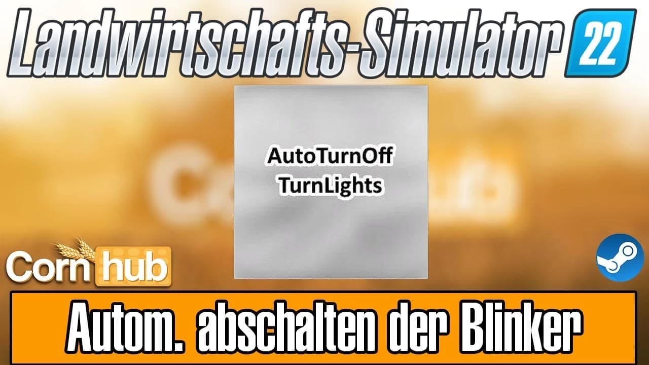 AUTO TURN OFF TURN LIGHTS