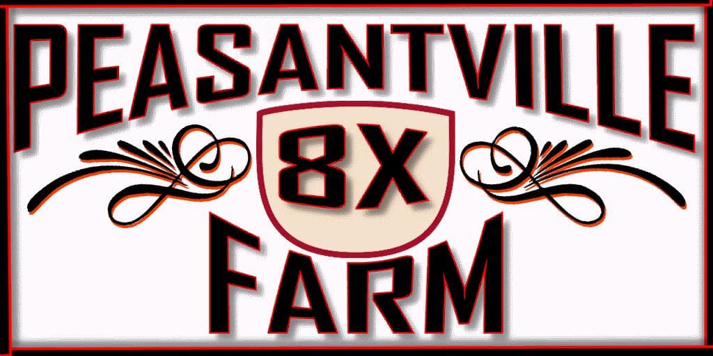 AUTODRIVE PEASANTVILLE 2 8X 4