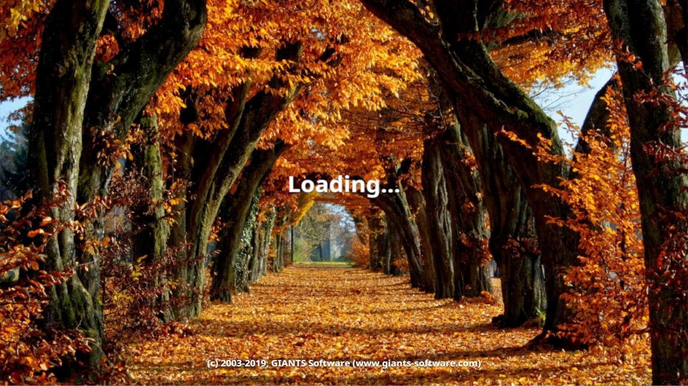 AUTUMN 2020 MENU BACKGROUND 2