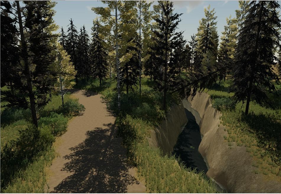 AUTUMNAL EQUINOX FOREST