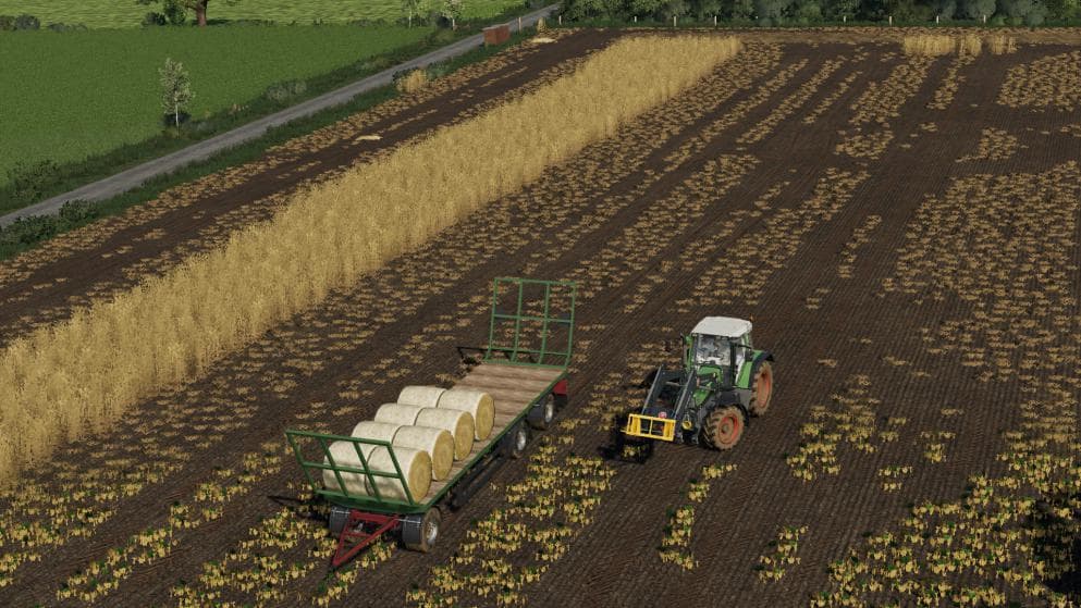 Advanced FruitDestruction