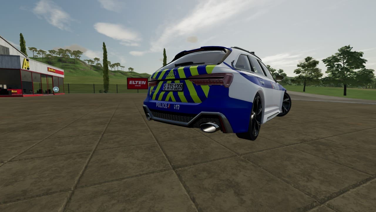 Audi RS6 Police 3