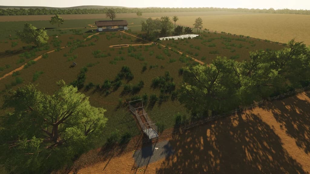 BACURI FARM 2K21 3