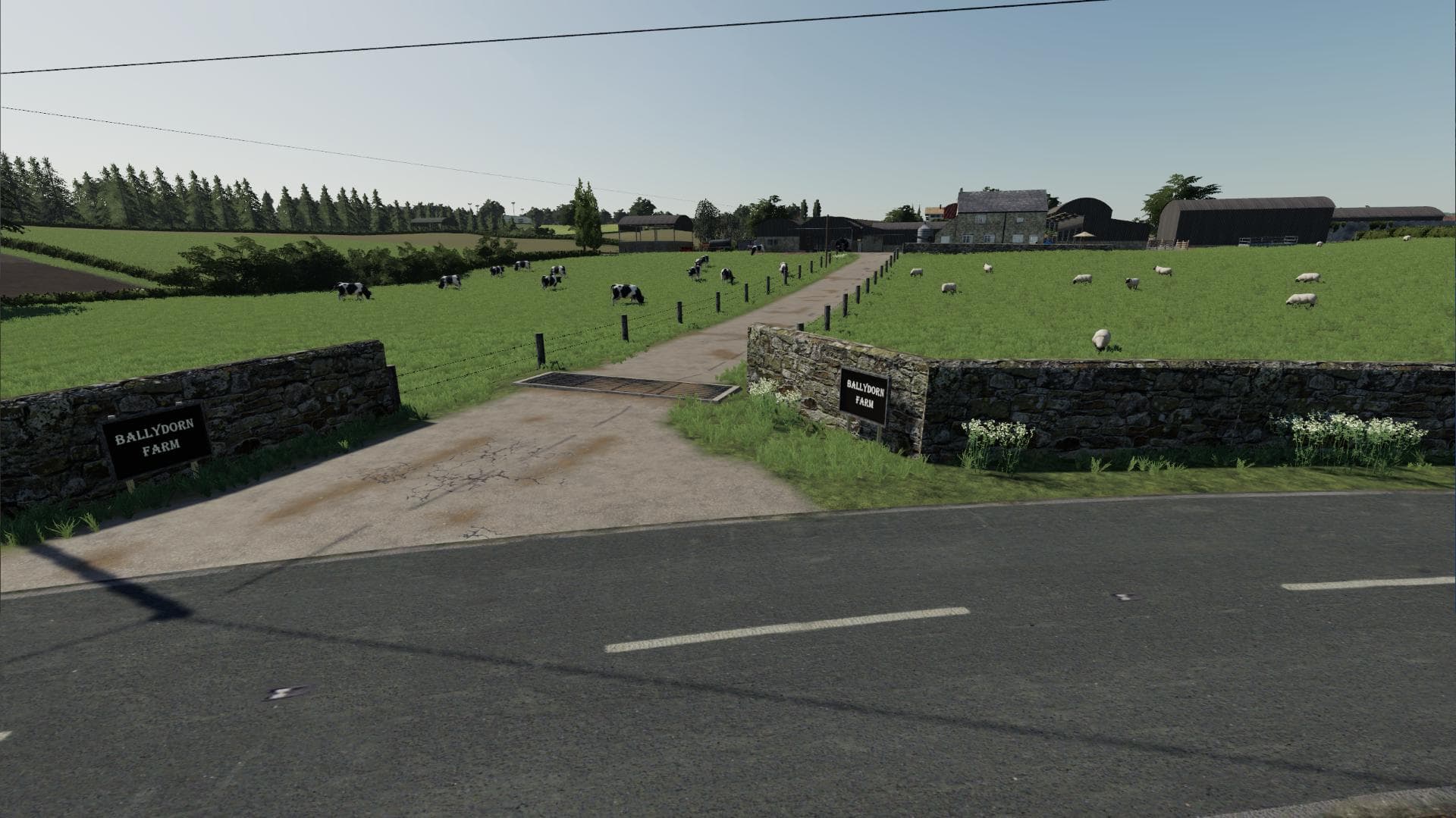 BALLYDORN FARM 19 4