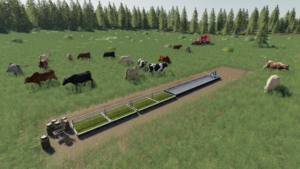BASIC PASTURES PACK 4