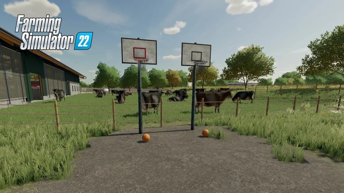 BASKETBALL SET 4