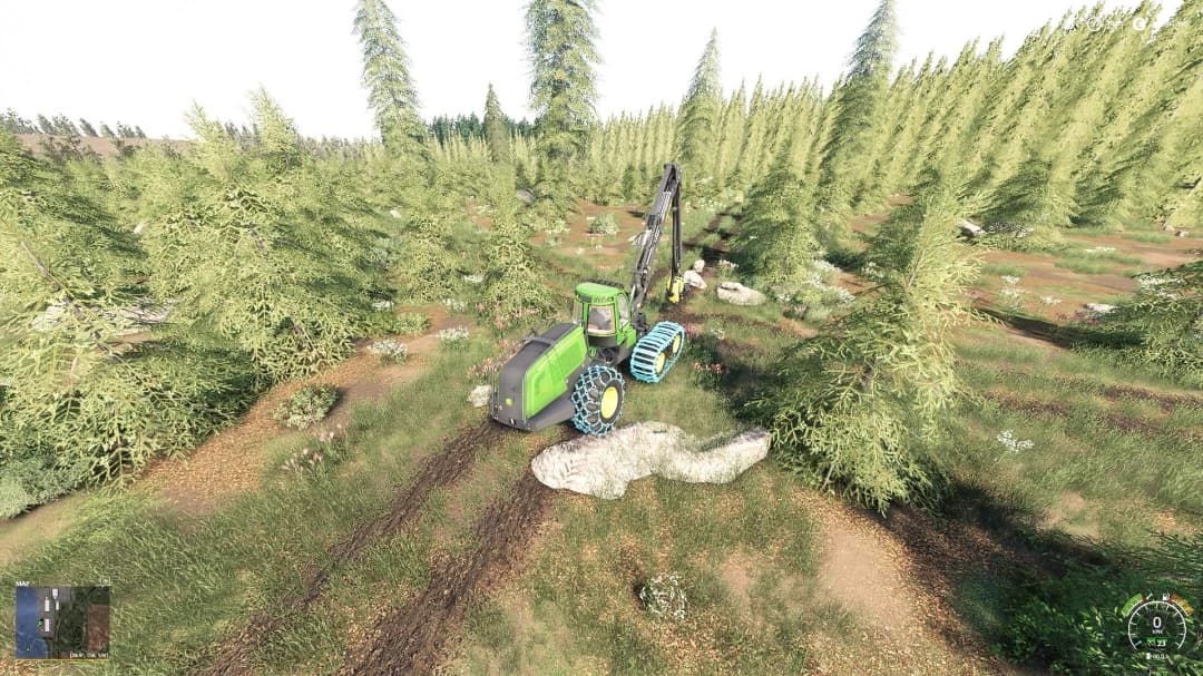 BEAR FOREST MAP 5