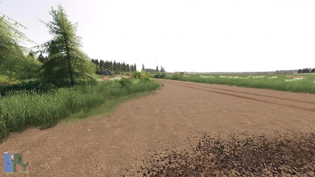 BEAR FOREST MAP 4