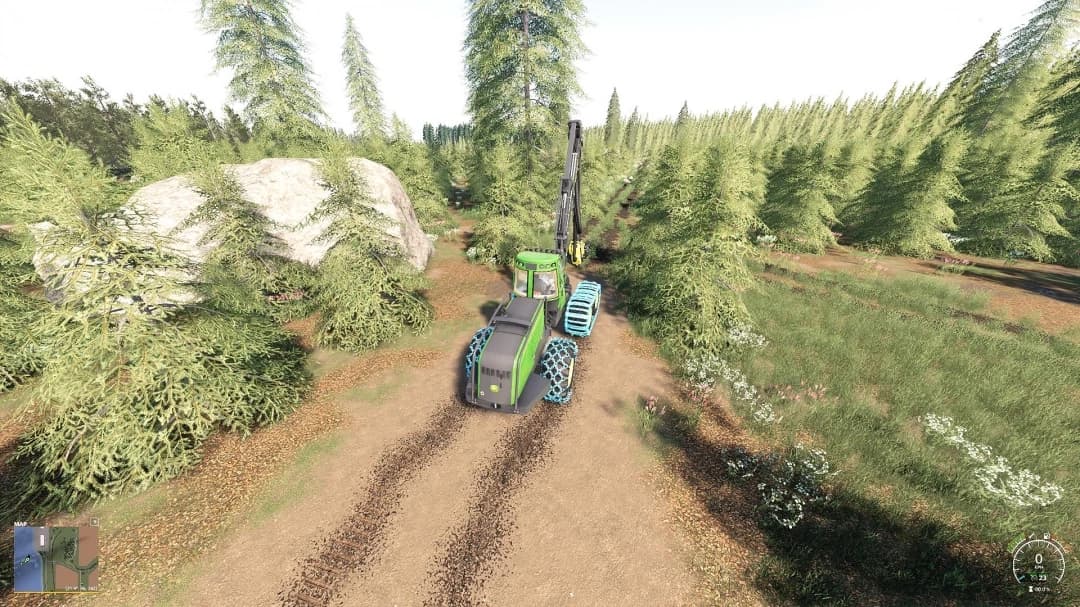 BEAR FOREST MAP 2