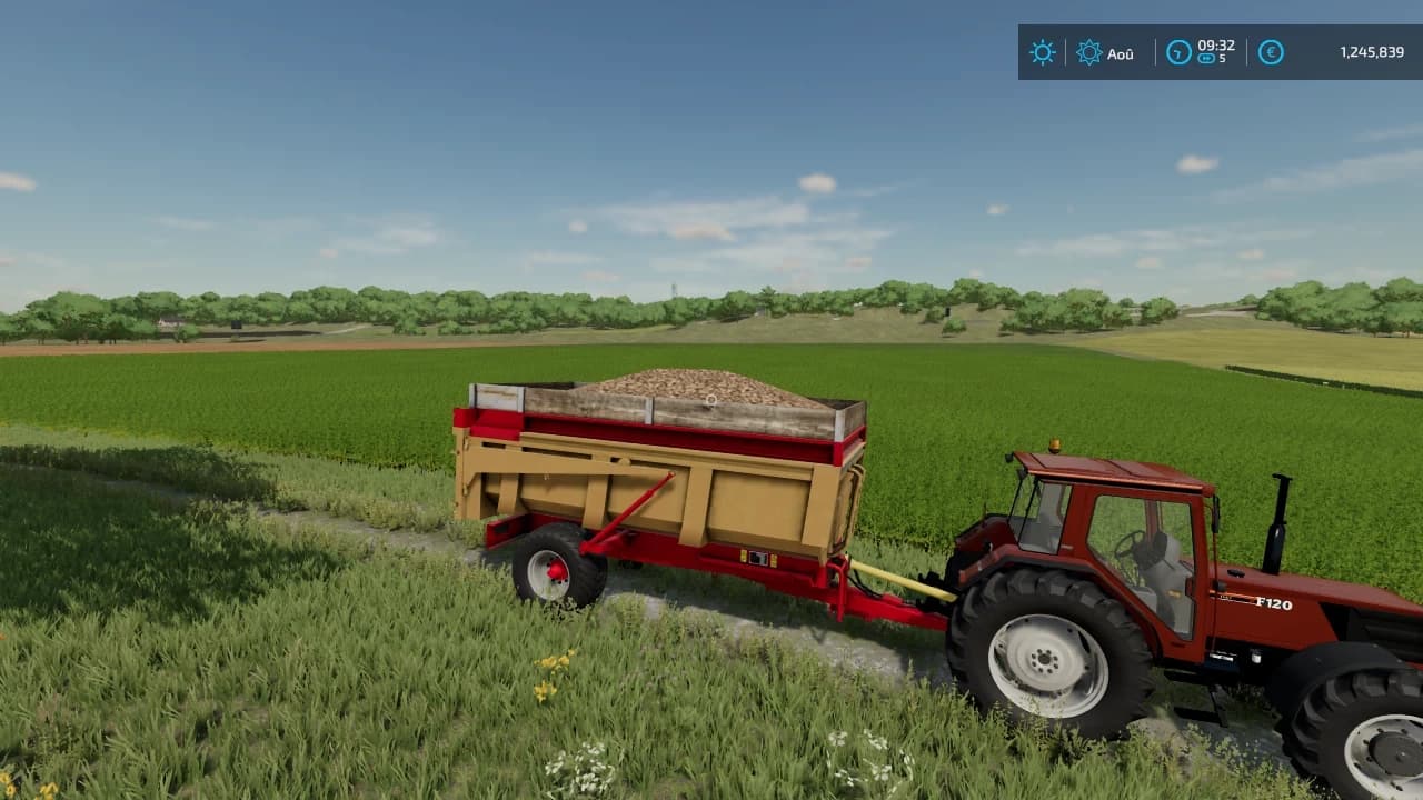 BENNE LIZARD 10T 3