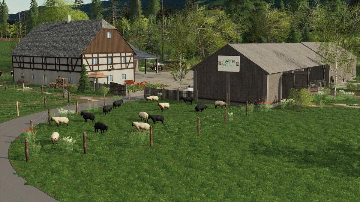 BERGISCH LAND 5