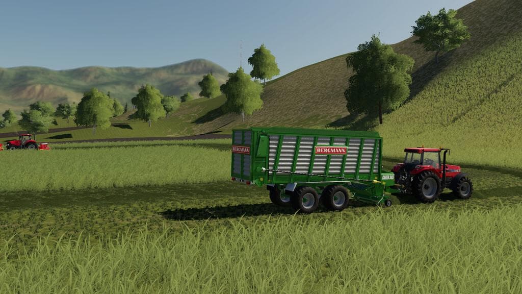 BERGMANN CAREX 38S