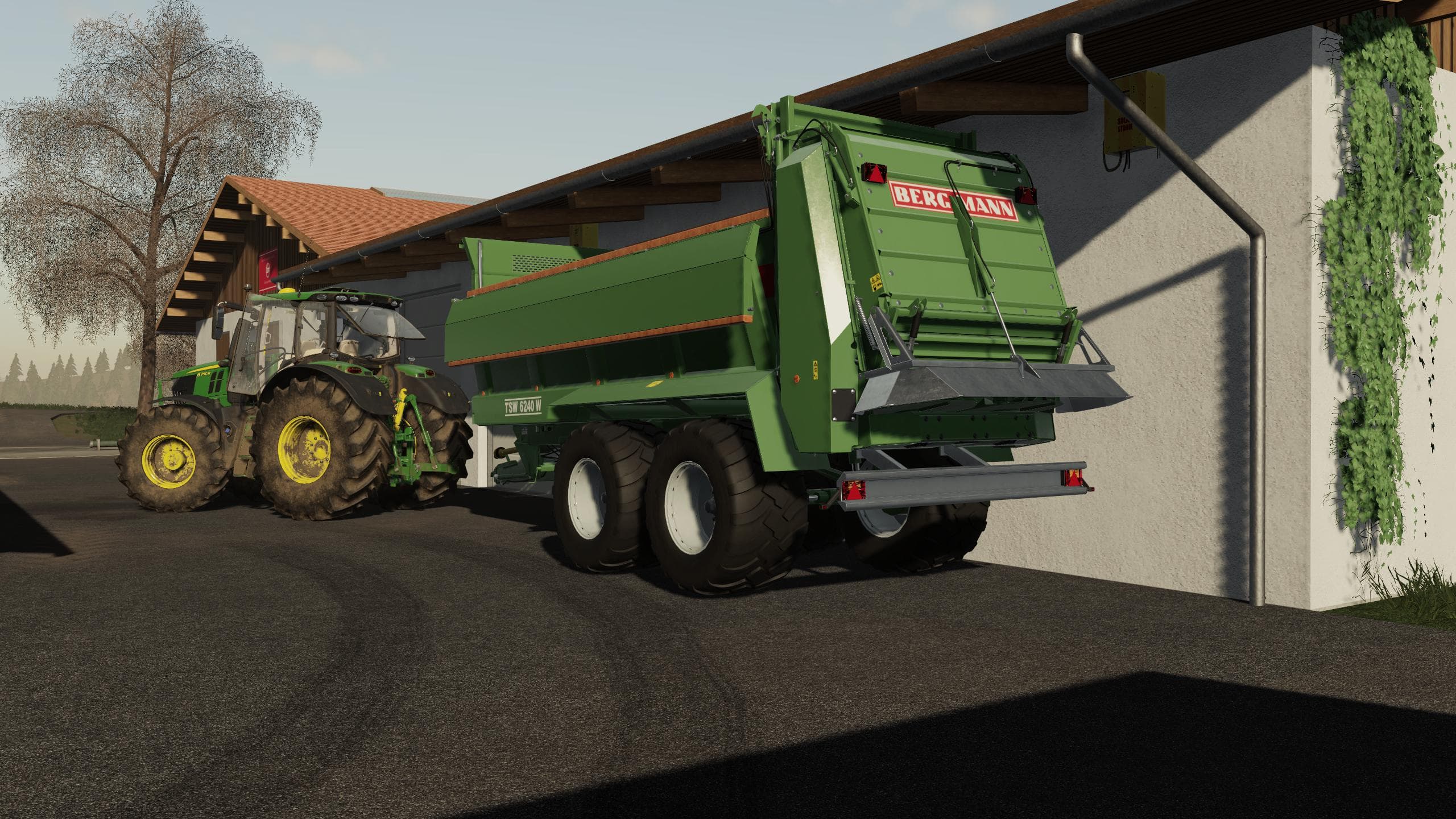 BERGMANN TSW