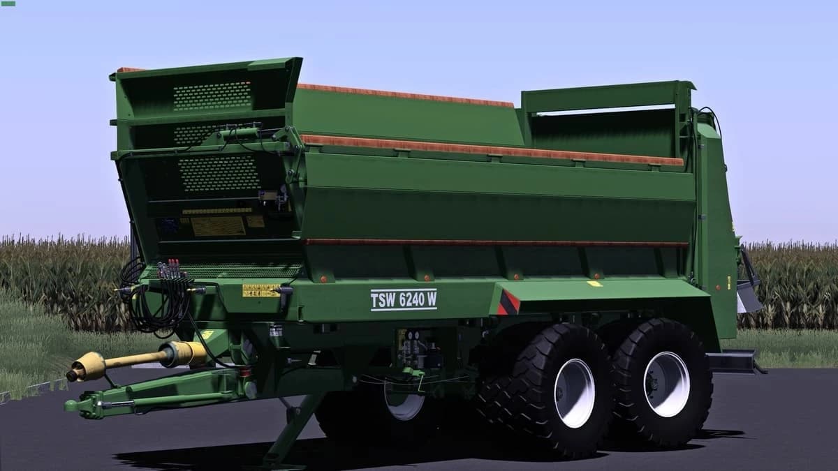 BERGMANN TSW