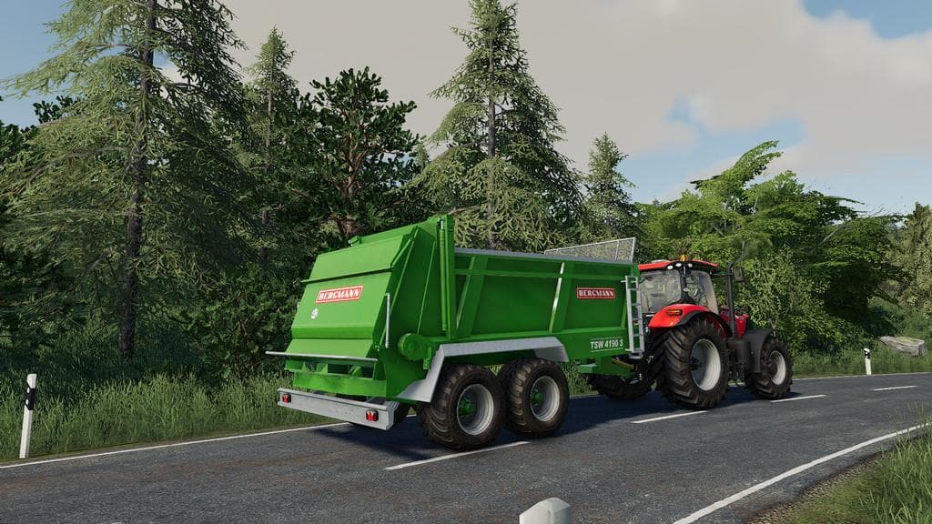 BERGMANN TSW4190 2