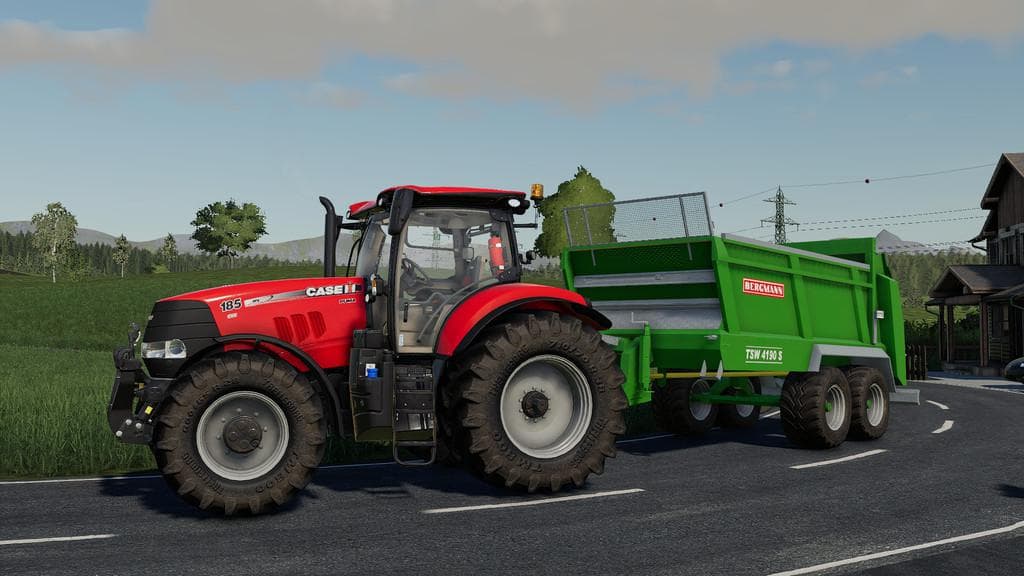 BERGMANN TSW4190