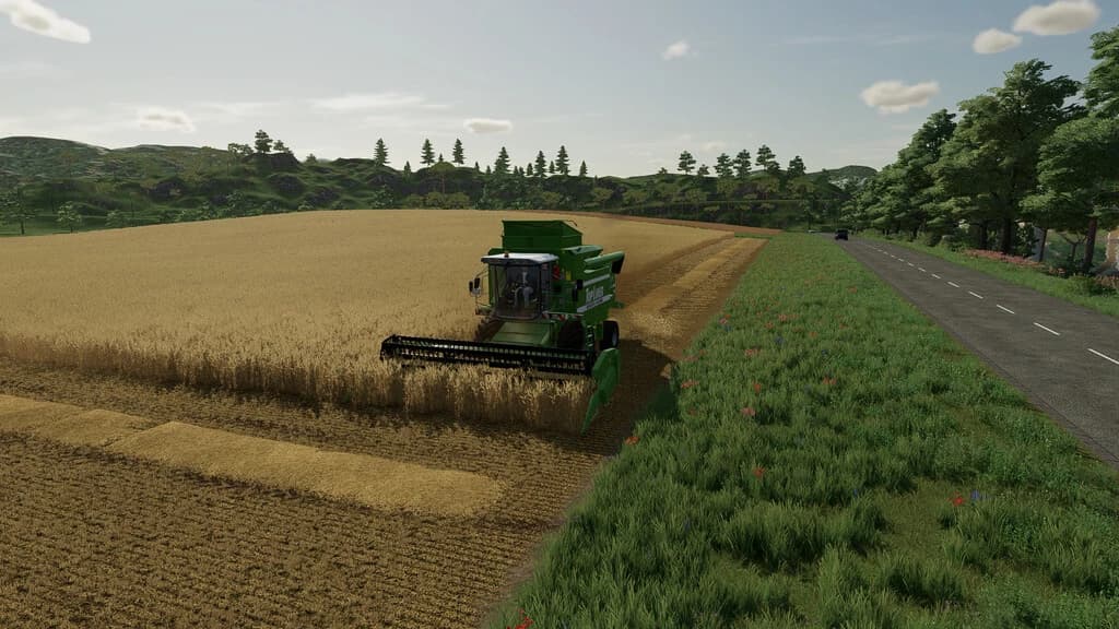 BEWARE OF STRAW 3