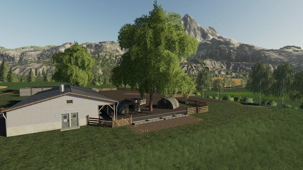 BIG PIG SHED 4