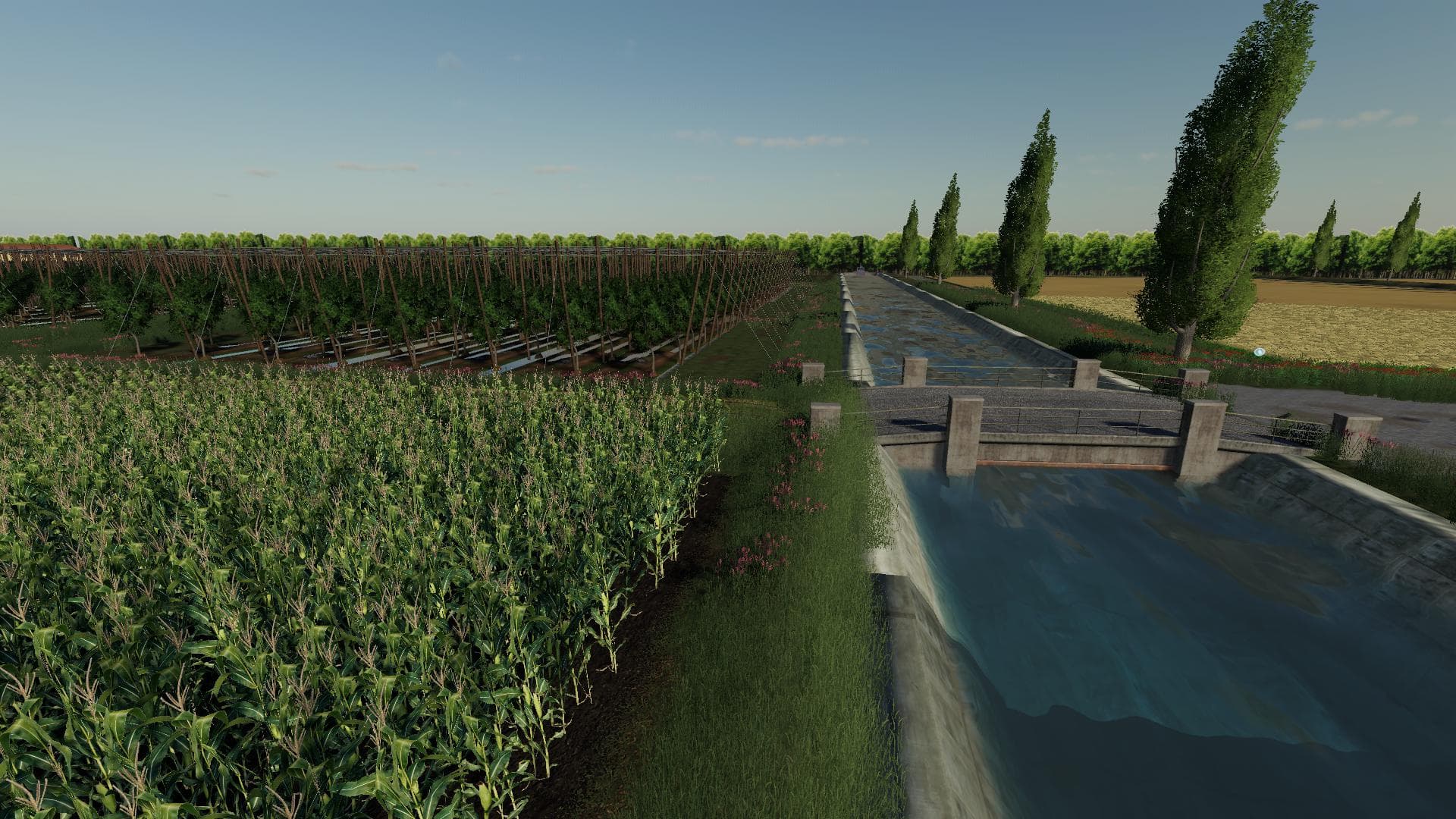 BIG RICE MAP 5