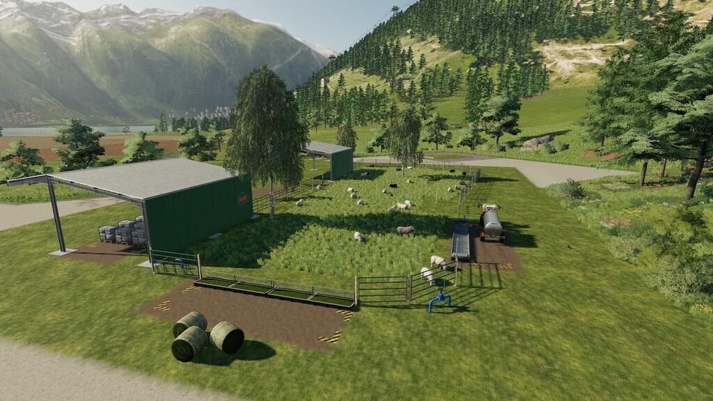 BIG SHEEP SHED 4