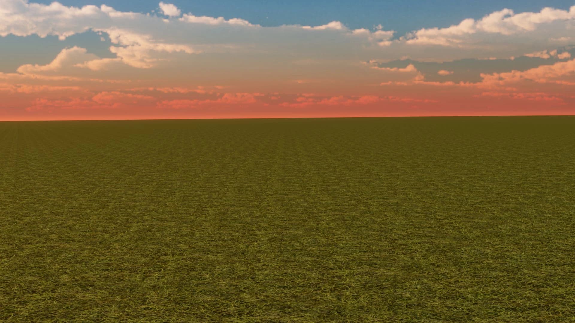 BLANK MAP