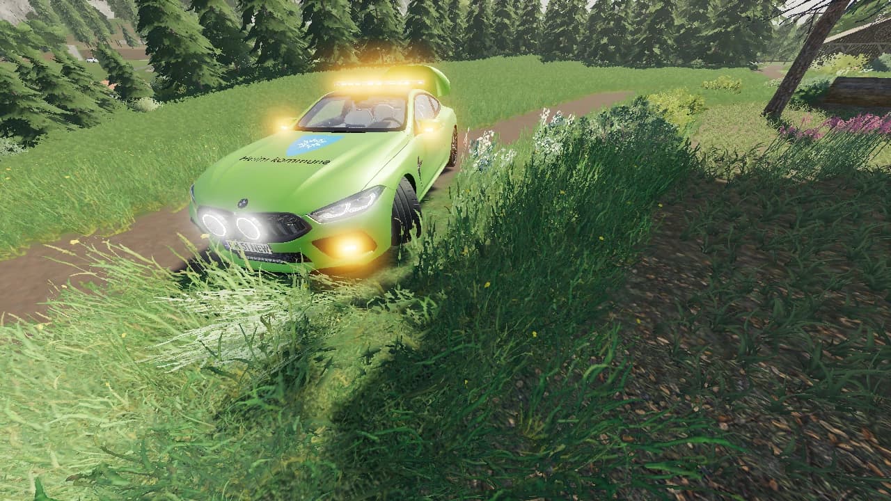 BMW WORK CAR 3