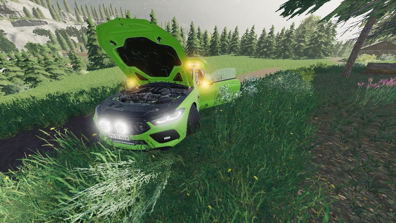 BMW WORK CAR