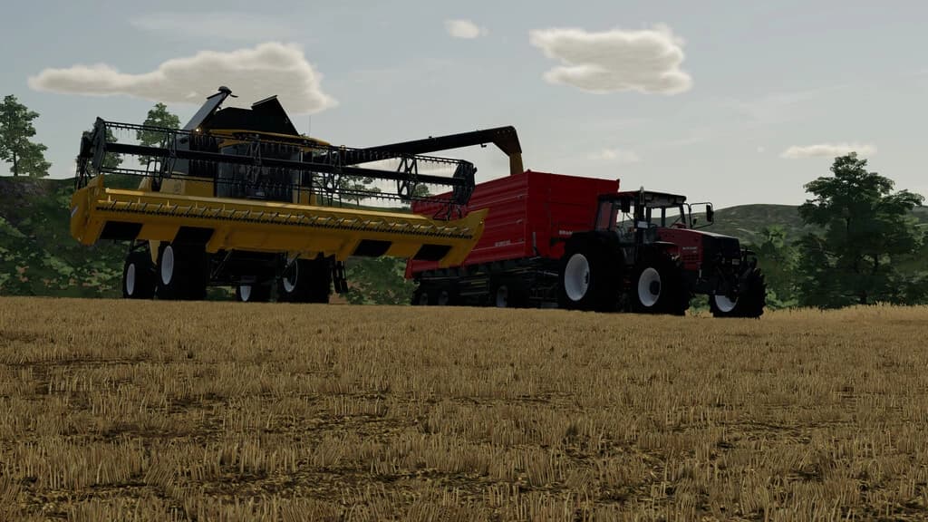 BRANTNER DD 24073/2 XXL
