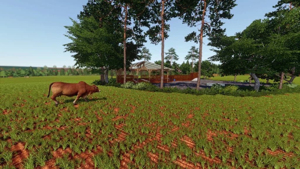 BRAUNDA FARM 3