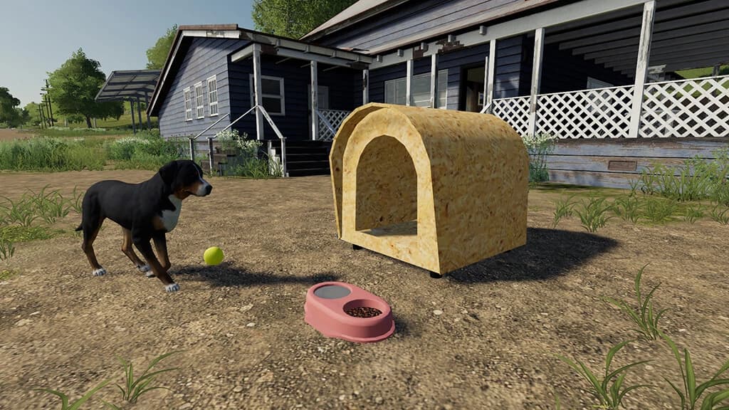 BRAZILIAN DOG HOUSE 2