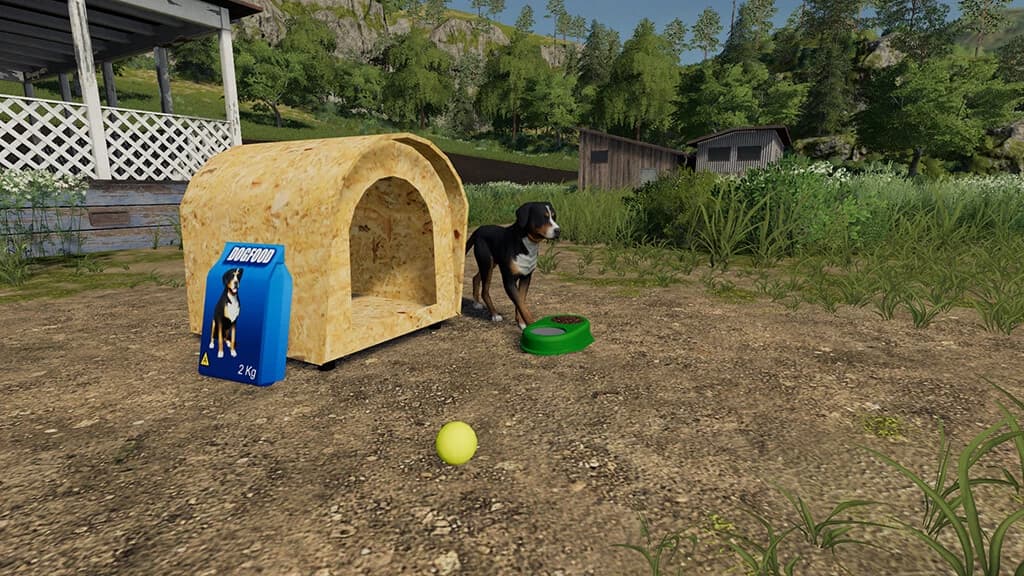 BRAZILIAN DOG HOUSE