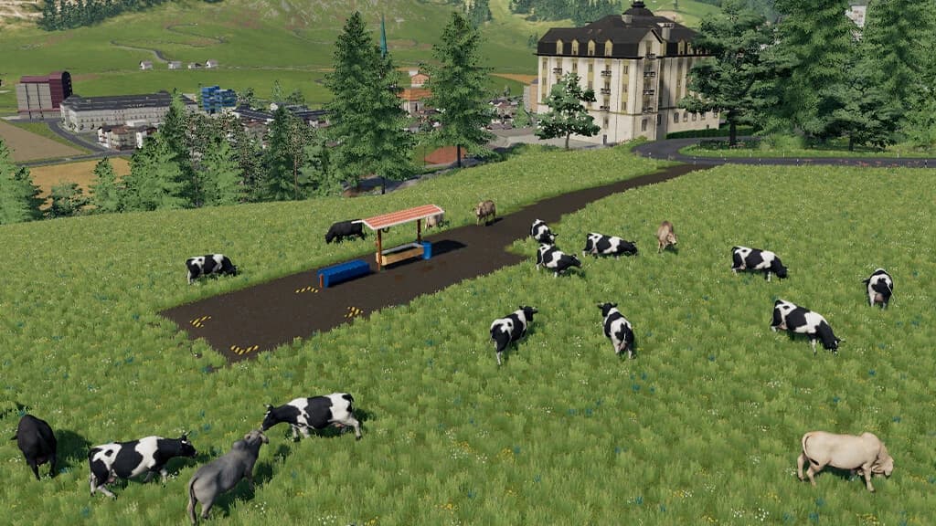BRAZILIAN OPEN COW PASTURE 2