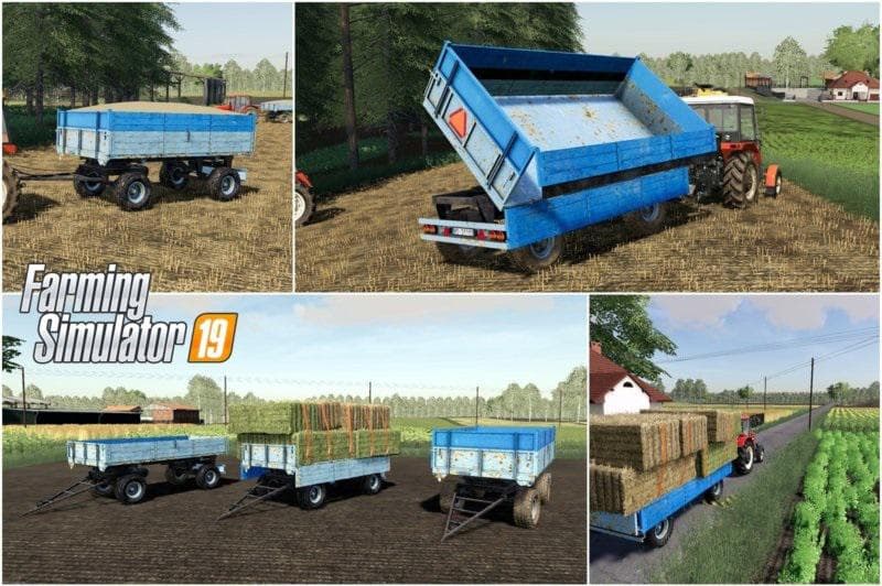 BSS 8T Blue 5