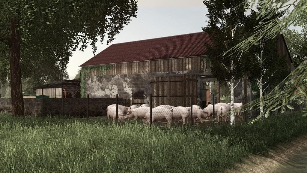 BUILDINGS WITH PIGS 3