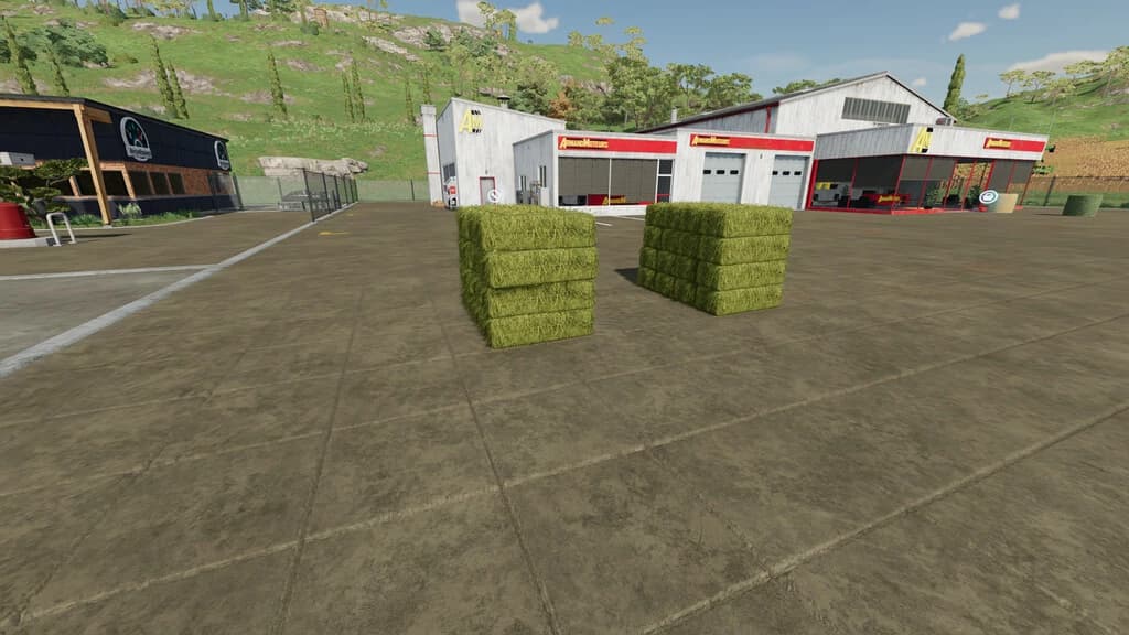 BUYABLE SMALL SQUARE BALES 2