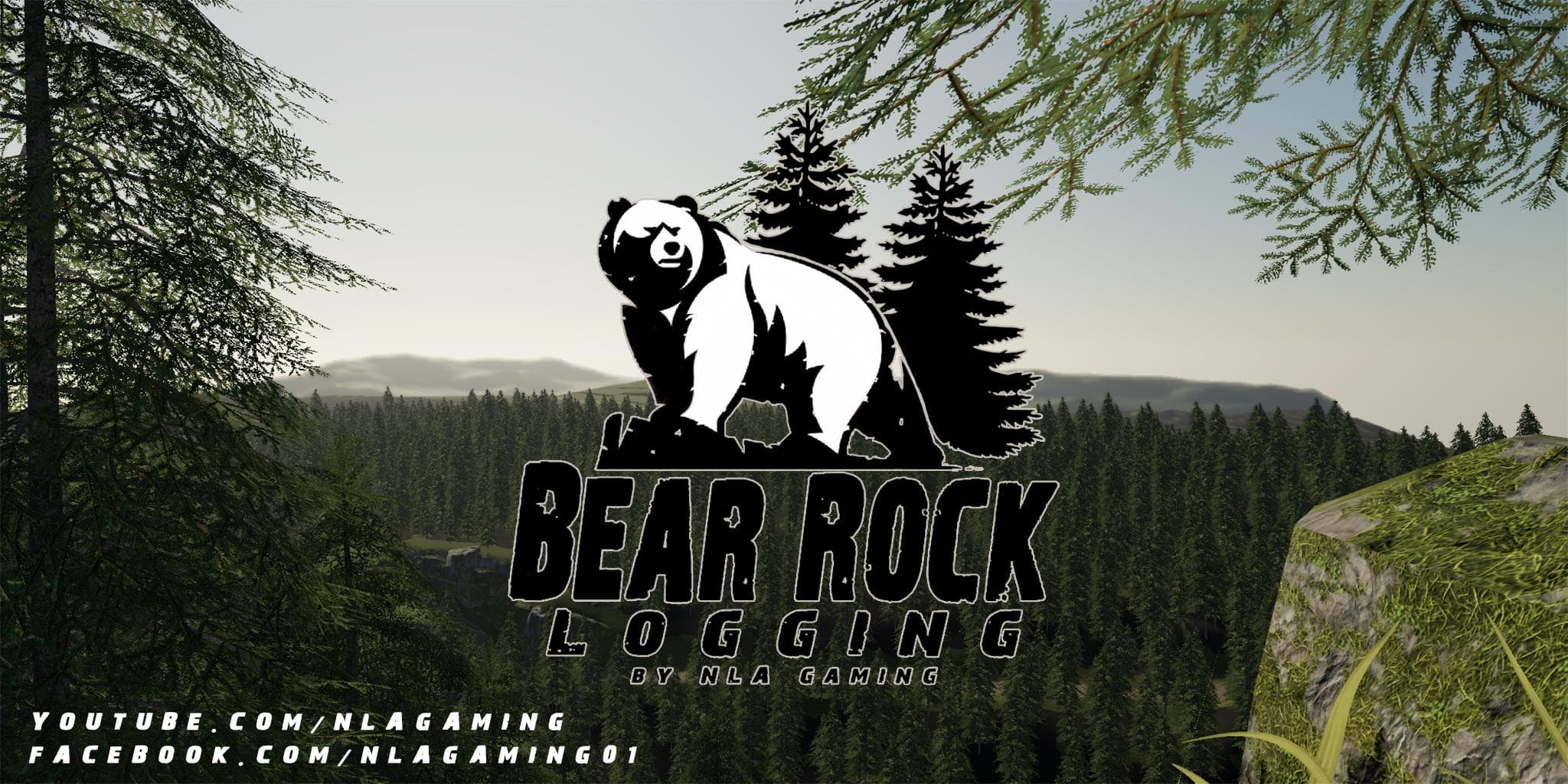 Bear Rock Logging 5