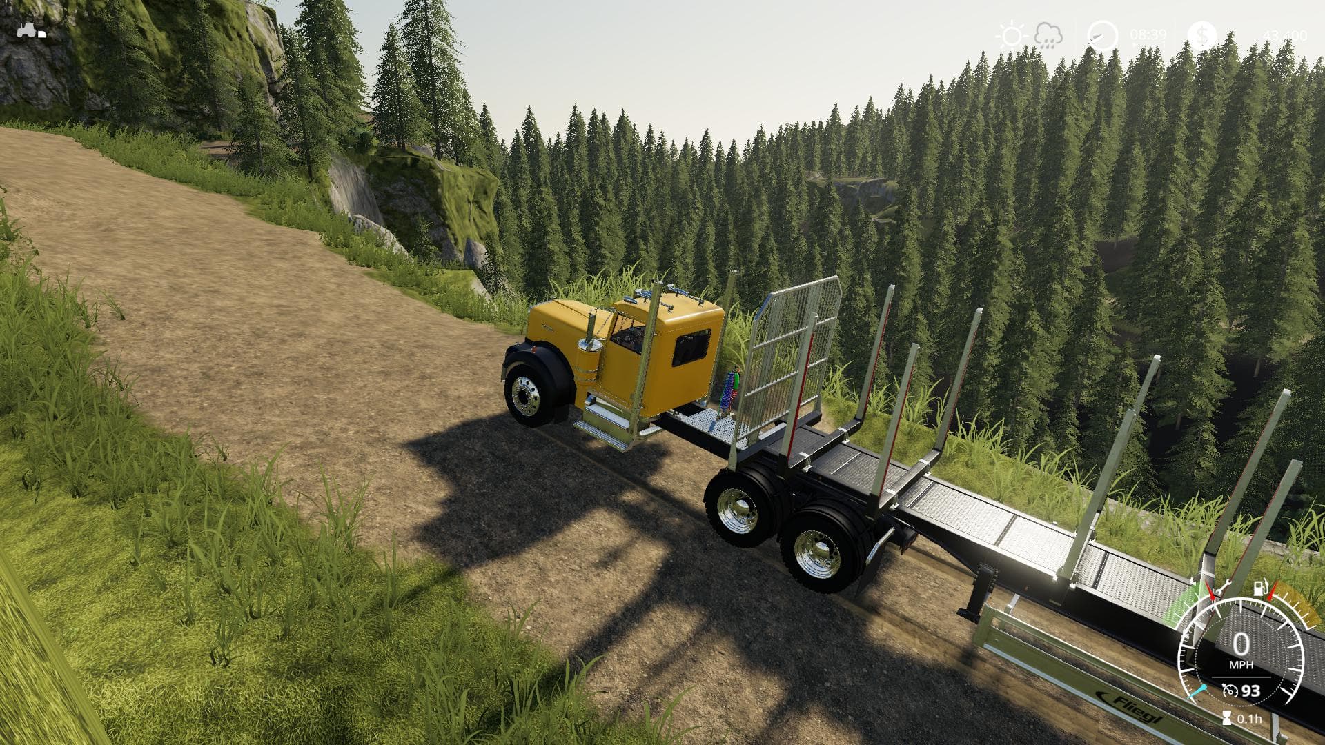 Bear Rock Logging 4