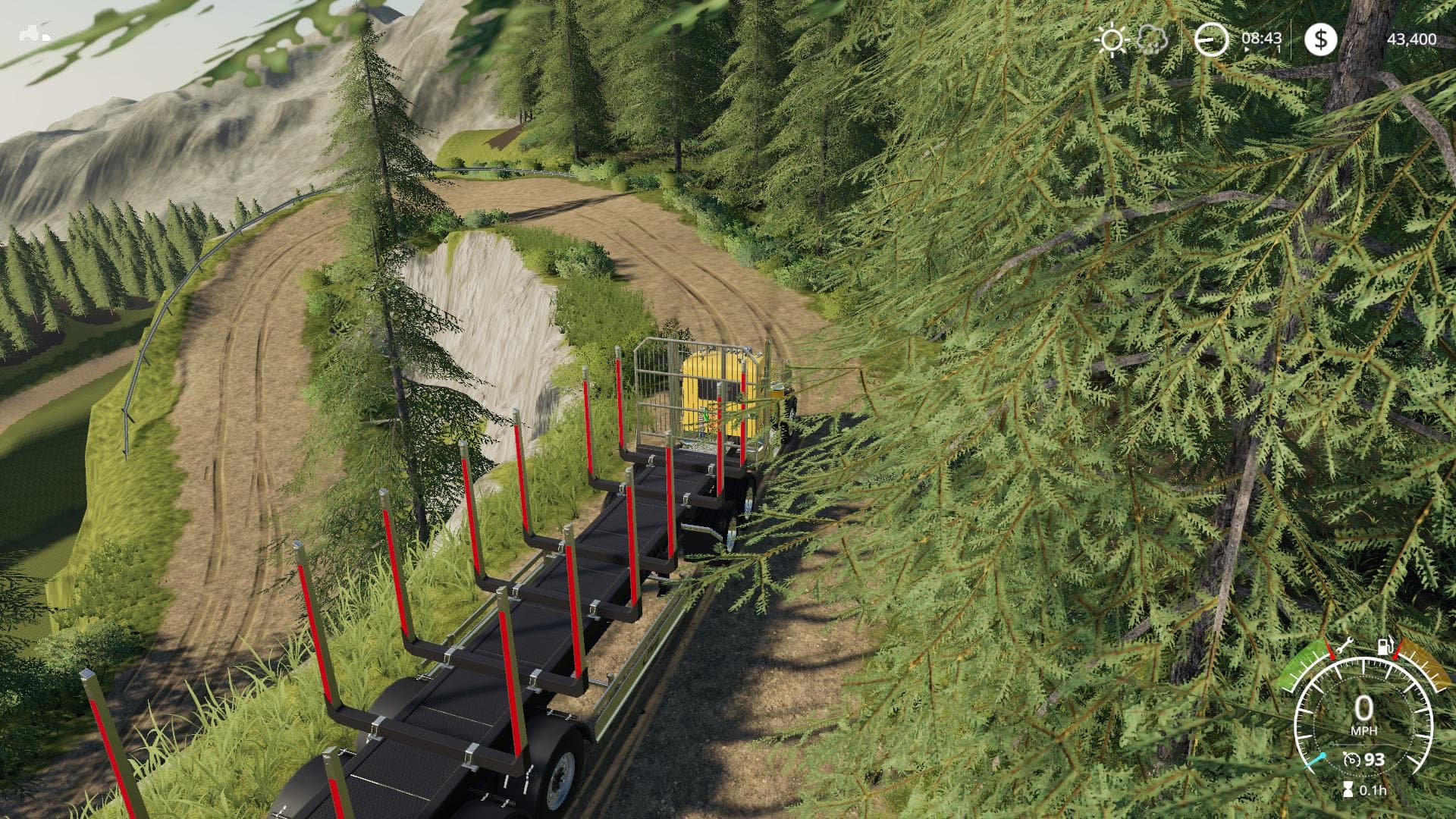 Bear Rock Logging 3