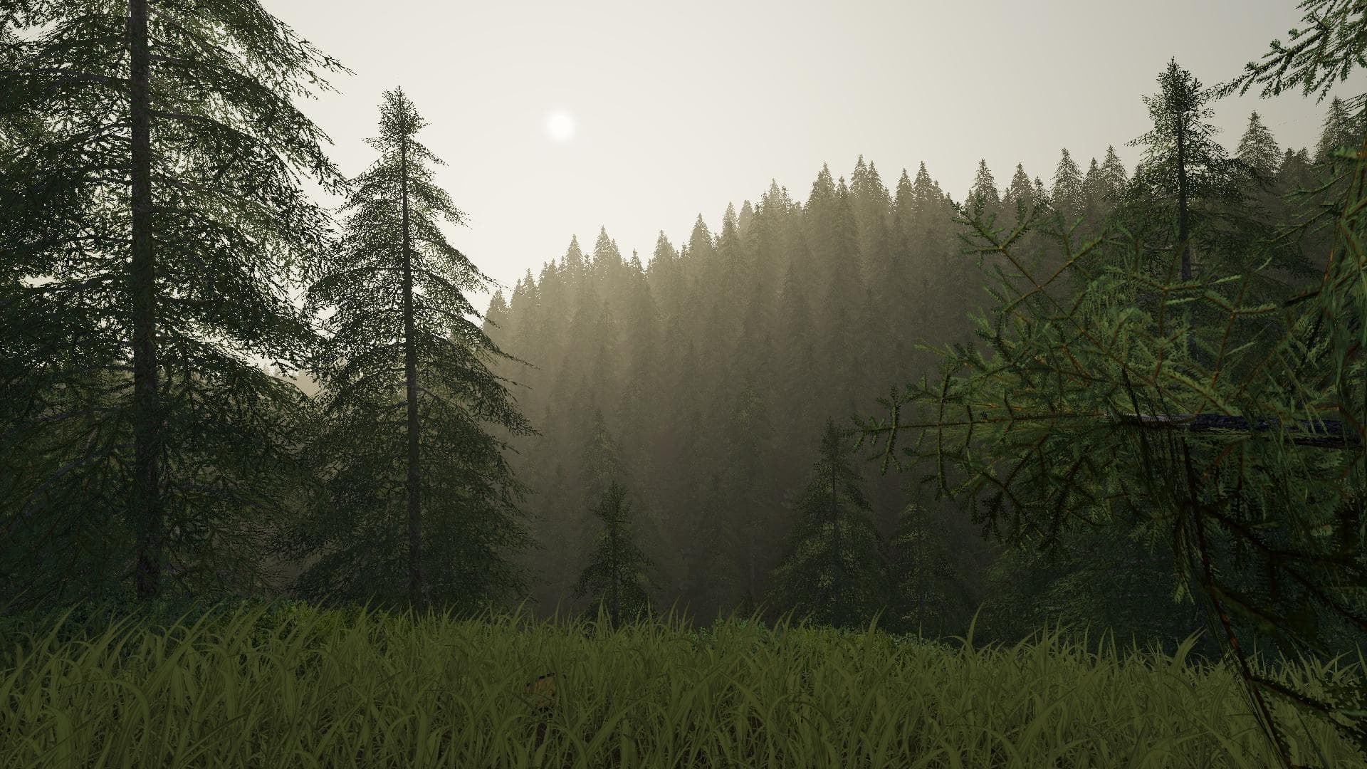 Bear Rock Logging 2