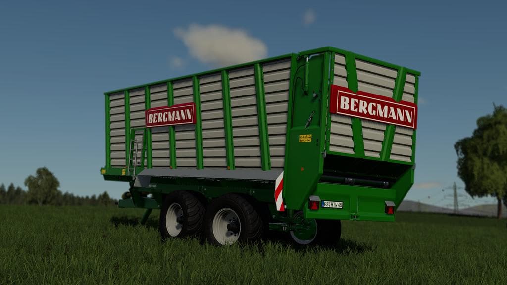 Bergmann HTW 45/50 5