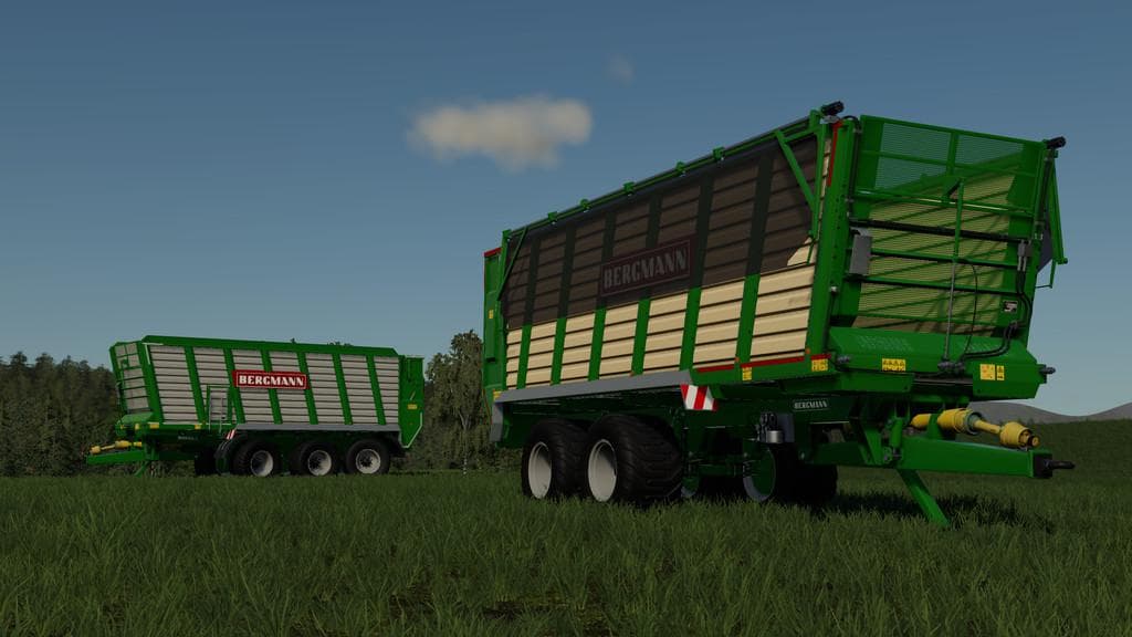Bergmann HTW 45/50 4