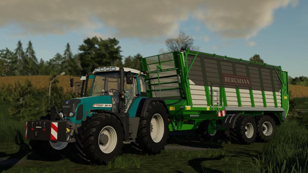 Bergmann HTW 45/50