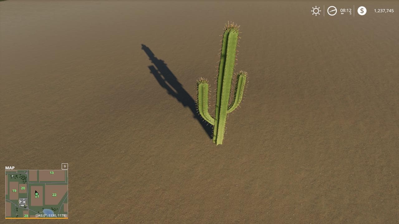 CACTUS