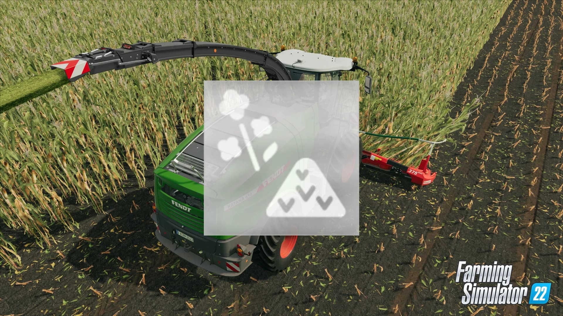 CANOLA STRAW